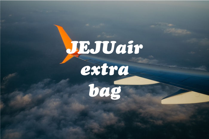 チェジュ航空荷物追加